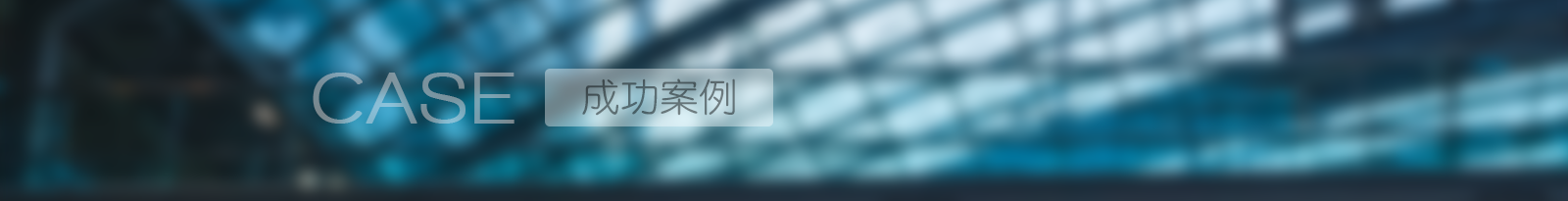 成功案例